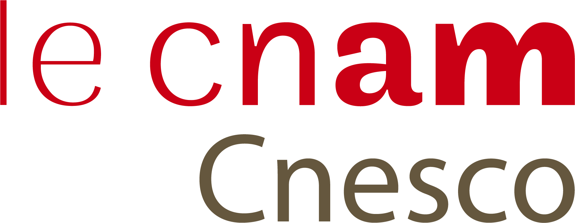 le-cnam-CNESCO-v.png